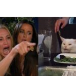 Woman Yelling At Cat - PicZama Meme Generator