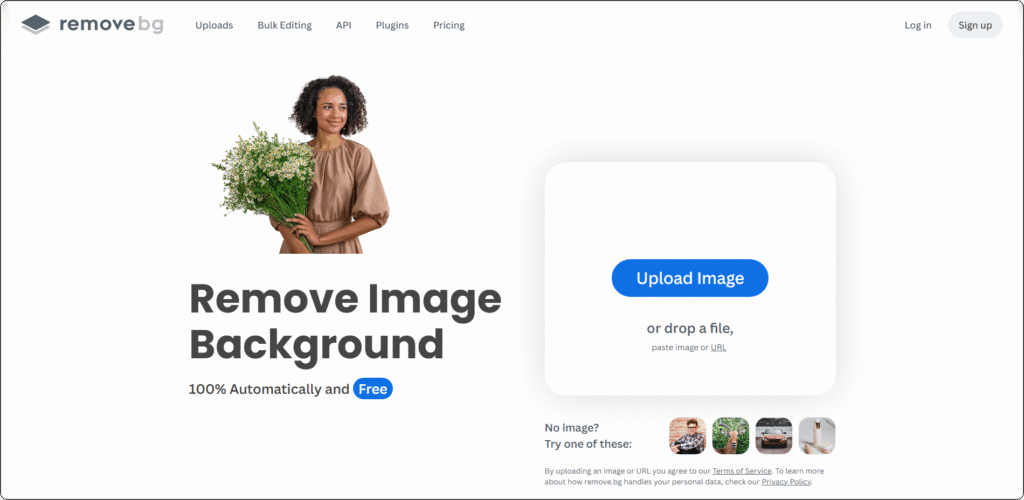 Top 5 Picks - AI Background Remover Tools for Creators